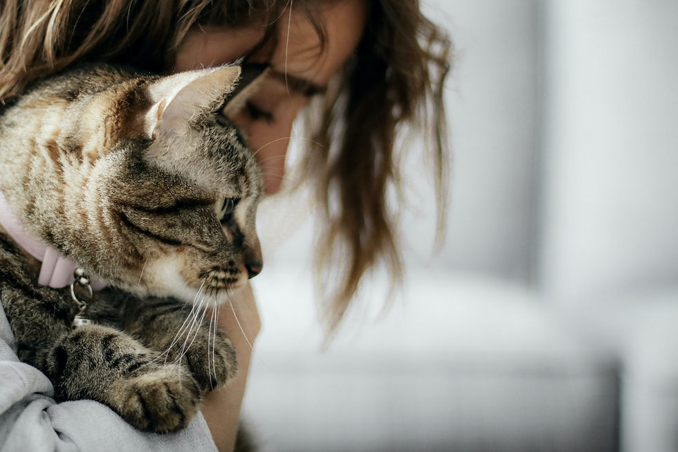 Katze entspannt mit Mensch