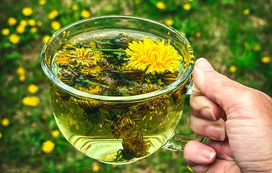 dandelion-tea-featured.jpg