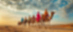 bedouins-camels-travel-through-desert.jpg