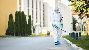 Best Pest Control Services in Mumbai