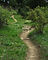 Trail 2.jpg