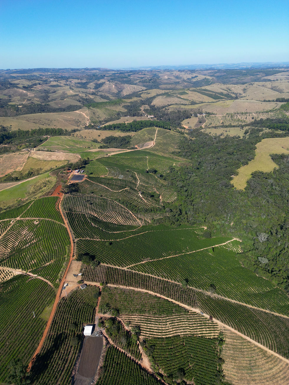 dji_fly_20260729_223006_691_1785332449173_photo.jpeg