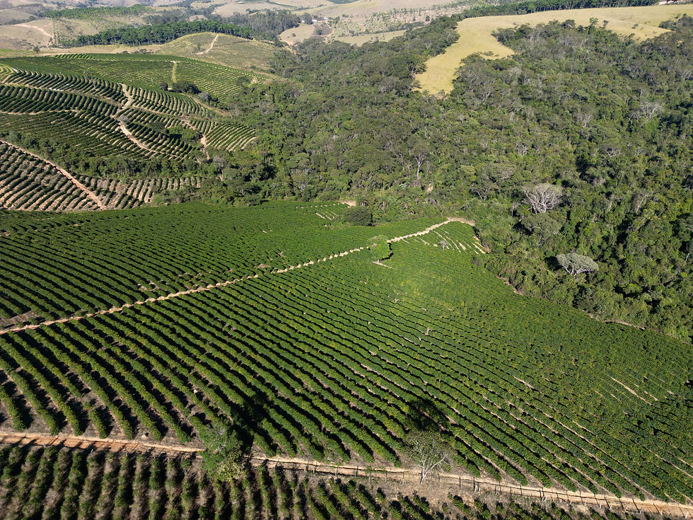 dji_fly_20260729_222226_680_1785332458438_photo.jpeg
