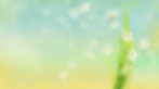 spring daisy gif moving.gif