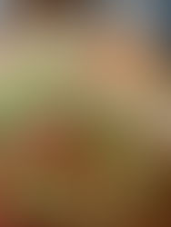 Desayunos Corporativos: Creando Experiencias Memorables para Empresas