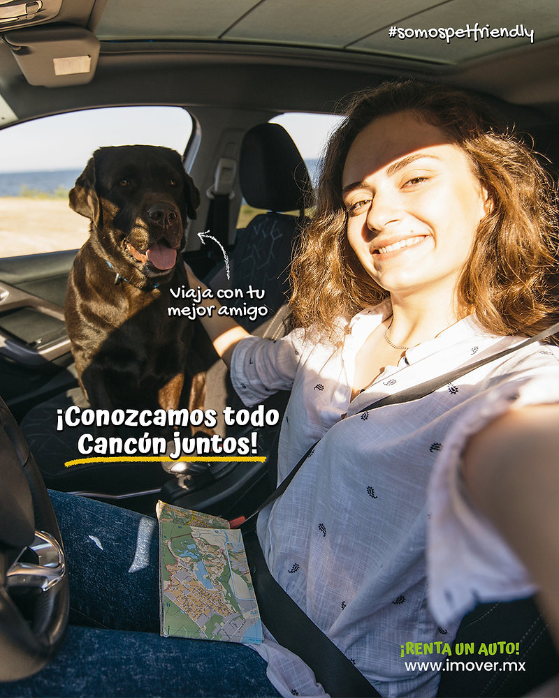 ¿Cómo viajar en avión con mascotas en México? Tips de un viajero.