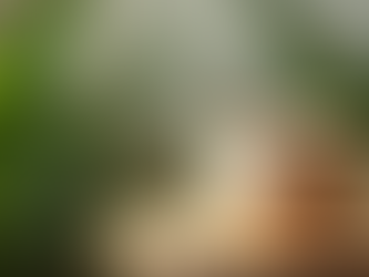 Macetas ecológicas en Puerto Vallarta: Sostenibilidad y personalización