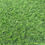 Miniatura: GRASS DECORATIVO 18MM X M2 PEDIDO MINIMO 30M2