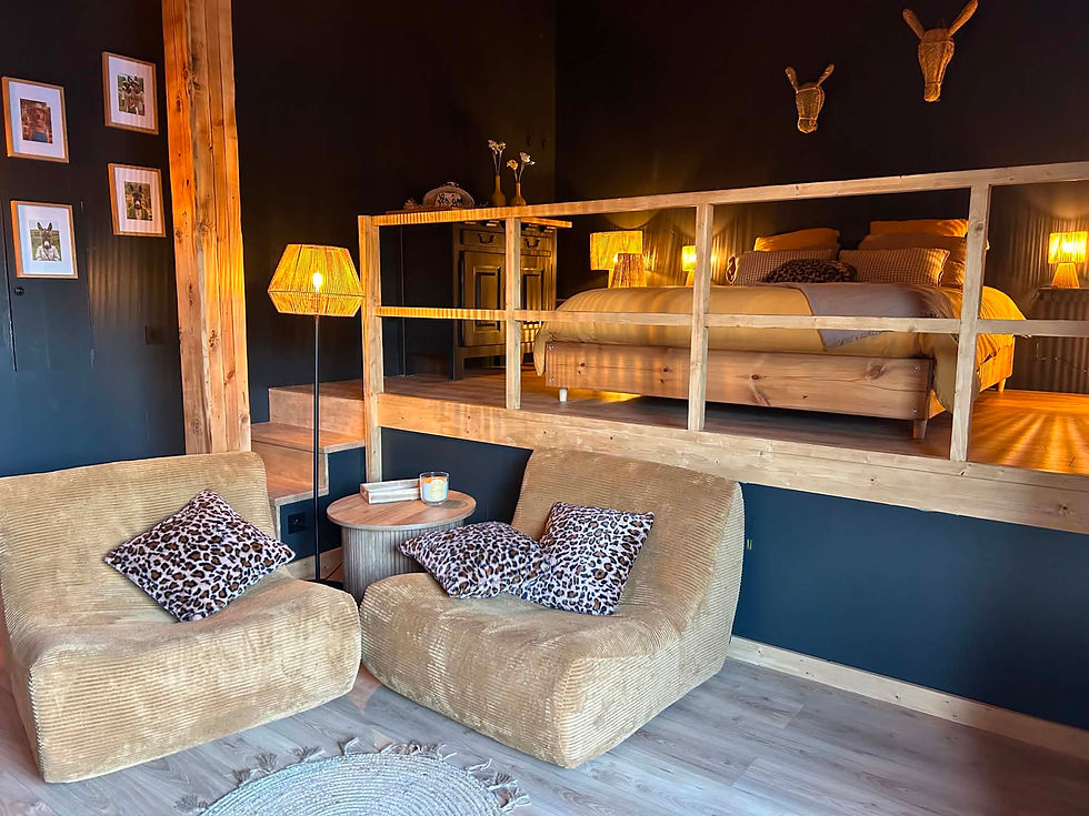 chambre et salon