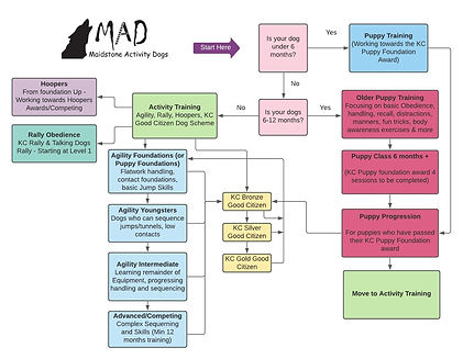 Class Flow Chart.jpeg
