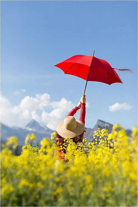 03438b8c2981bb78739a35189f6f80ee