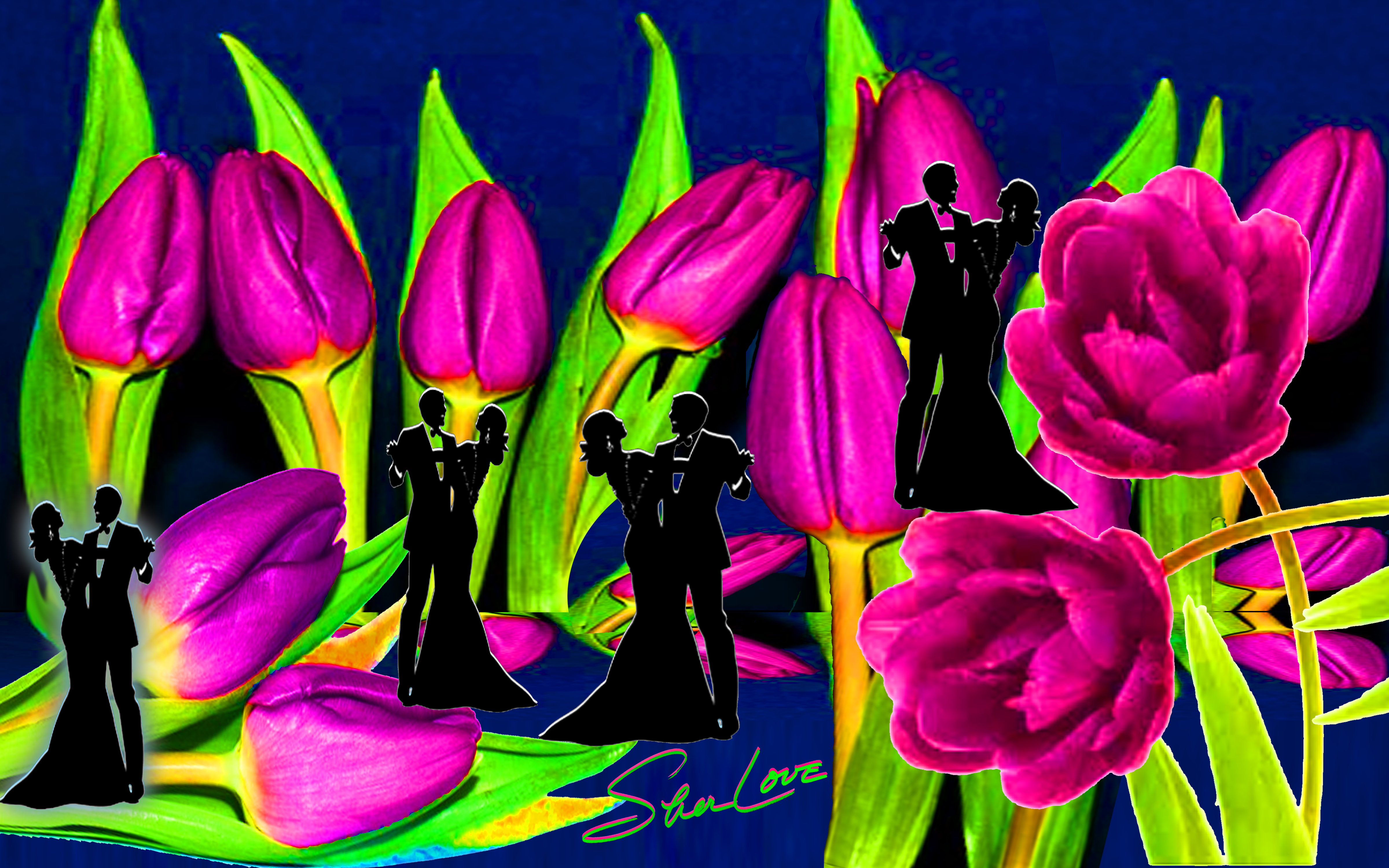 Purple Tulips Sher Love Collage
