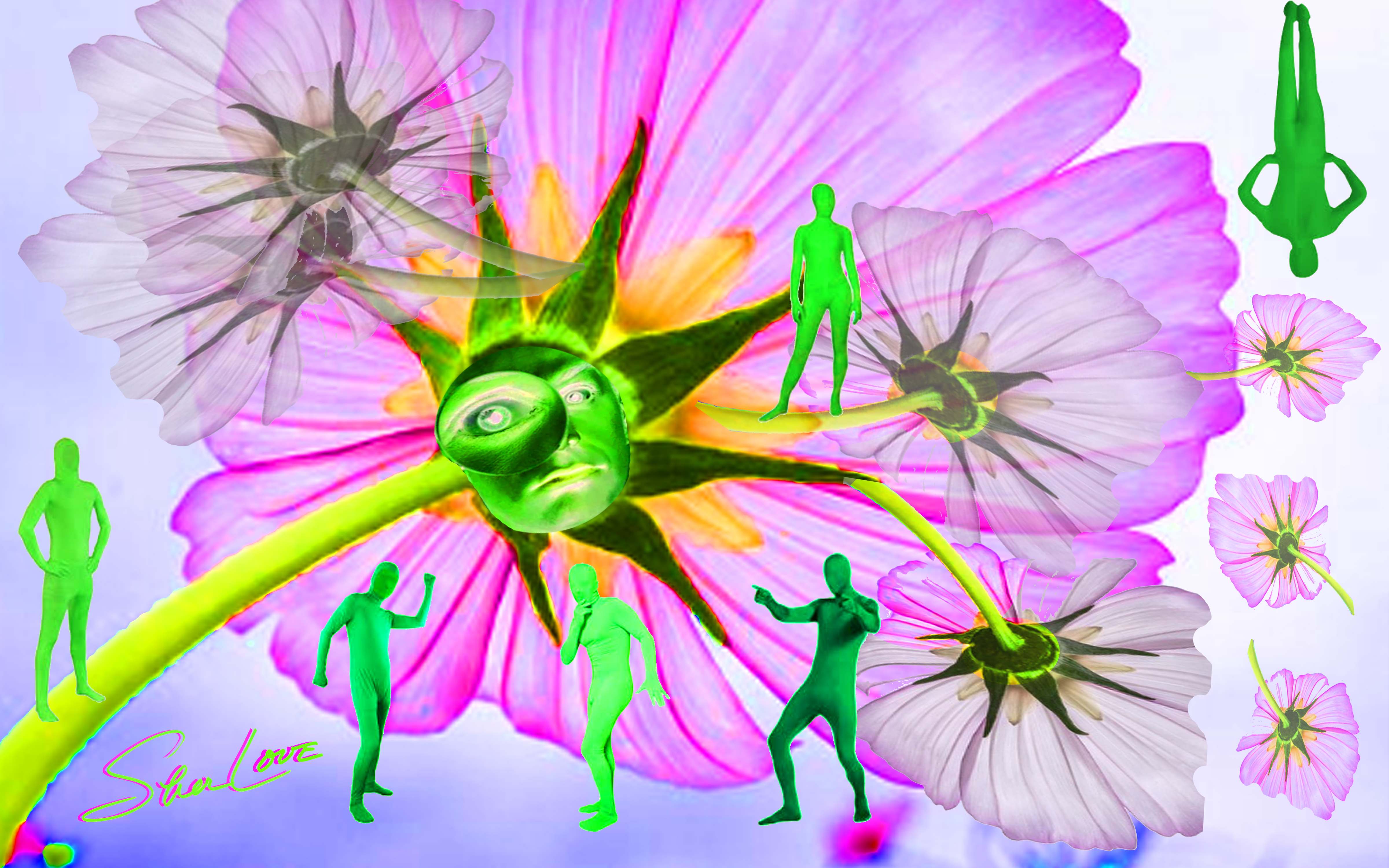 Seeing Flowers Sher Love Collage