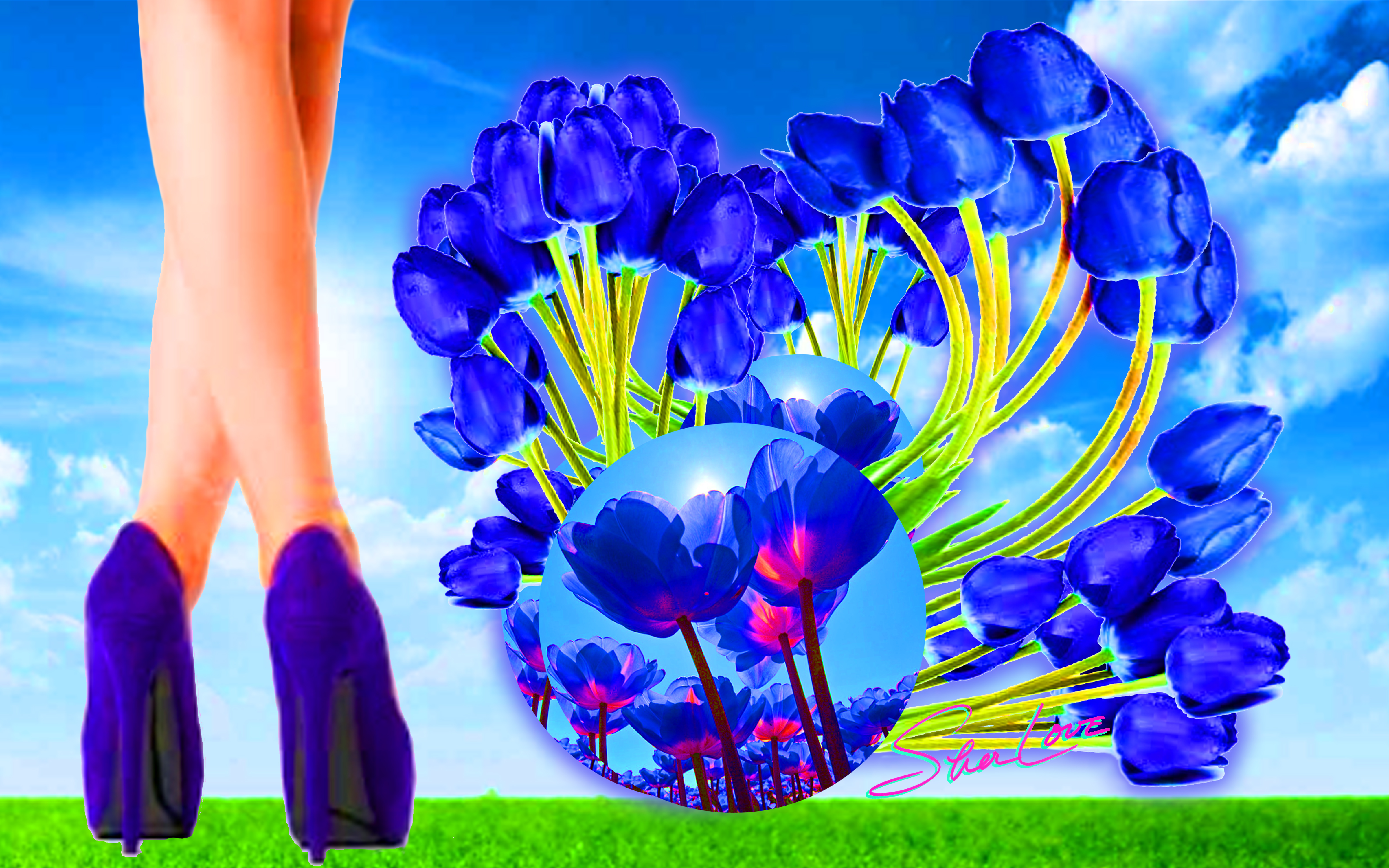 Blue Tulip Strolling Sher Love Collage