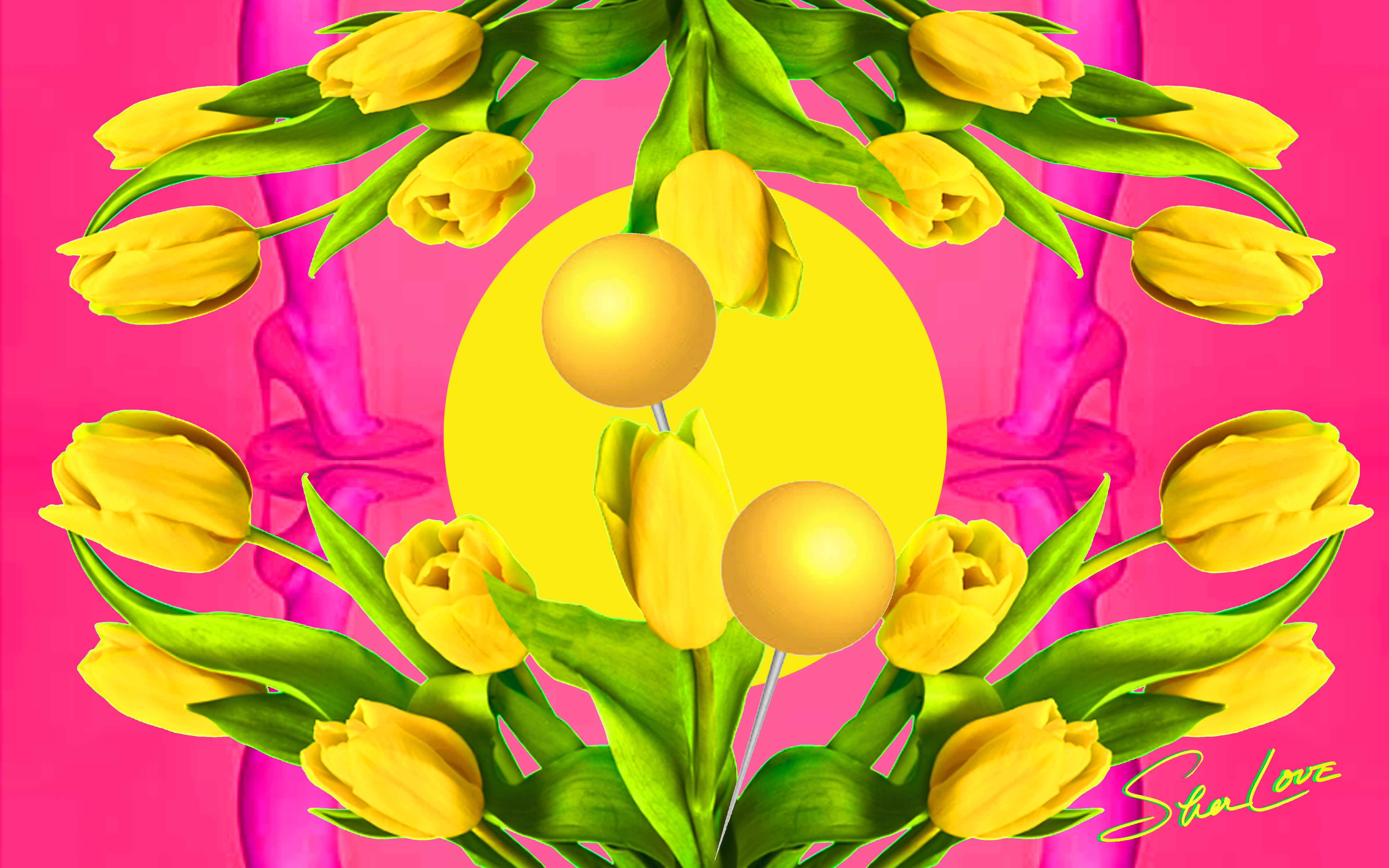 Yellow Tulips Sher Love Collage