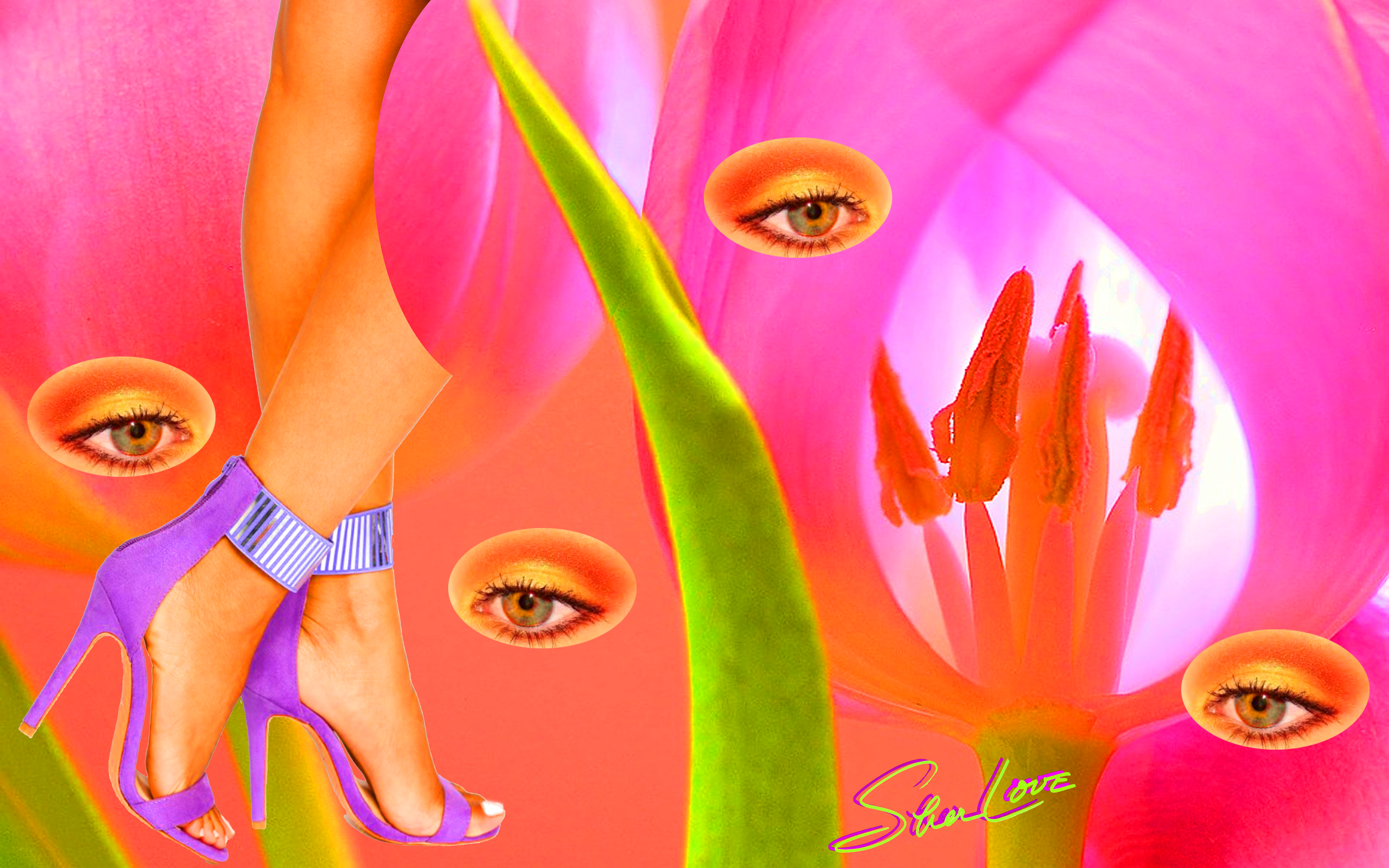 Tulip Close Up Sher Love Collage