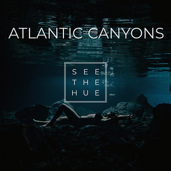 See The Hue Album Cover for streaming.png