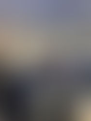 Nieuwsbrief april:                                                    Algemene Vergadering NCK 2026