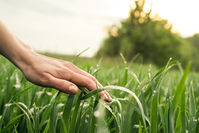 NCK Algemene Vergadering 25 maart 2021 per videoconferentie (MS Teams)