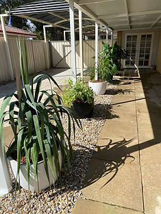 Aged and NDIS Care Plan Support