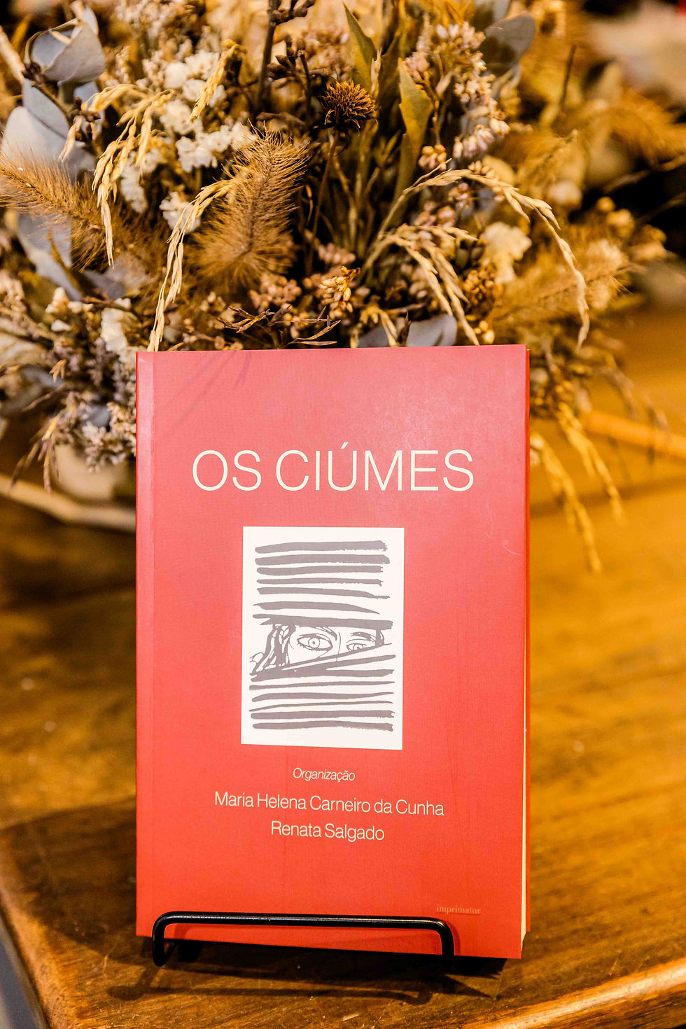 Livro "Os Ciúmes"