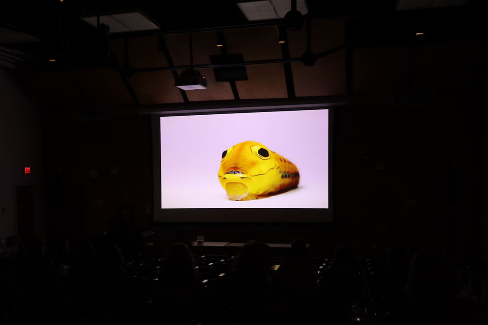 The 1-hour documentary featured stunning macrophotography (Photo by Camryn Sudimick) (Film by Jeff McKay)