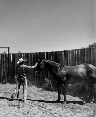 War Knot Wool maker Meghan Christianson working with a colt.