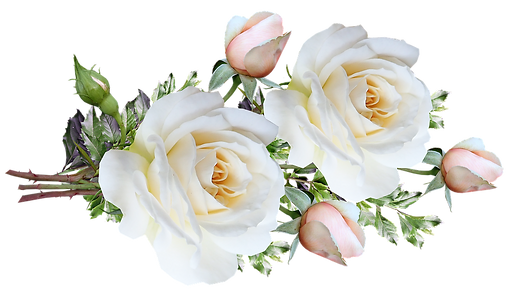 flowers-4897199_960_720.png