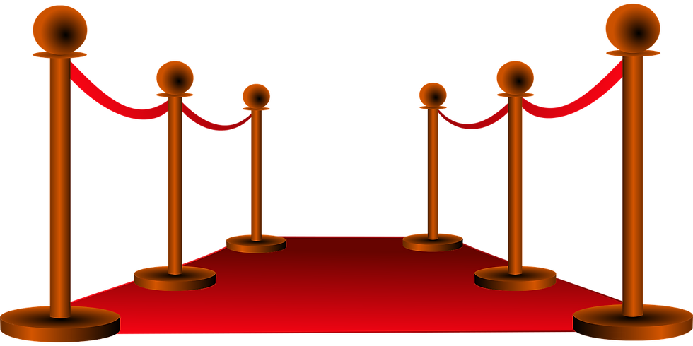 Invitations VIP