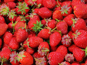 Articles 4: Conseil de chef Claude pour savourer les fraises de l'Ontario