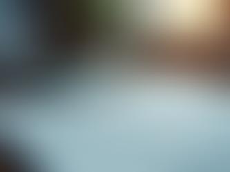 Simplify Your Job Application with Expert Help