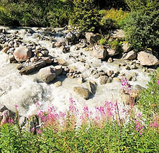 Bergwasser_edited.jpg