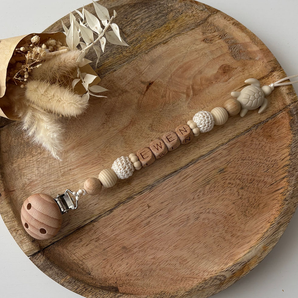 Attache tétine tortue