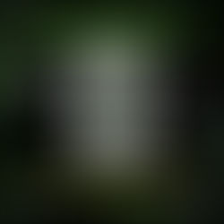 Synthplant