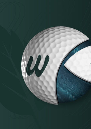 Walka Golf Club - Golf Ball Cross Section