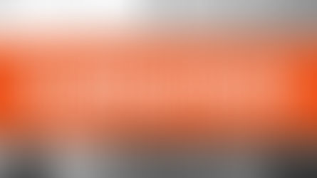 Book Reviews: The American Prospect