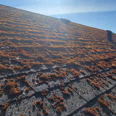 Welcome to Birmingham Home Services