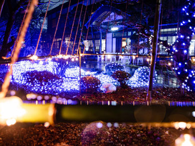 和風庭園✕イルミネーションの輝き。日詰クリスマスマーケットが開催されました