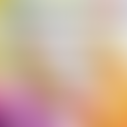Term 1 2021 - Art