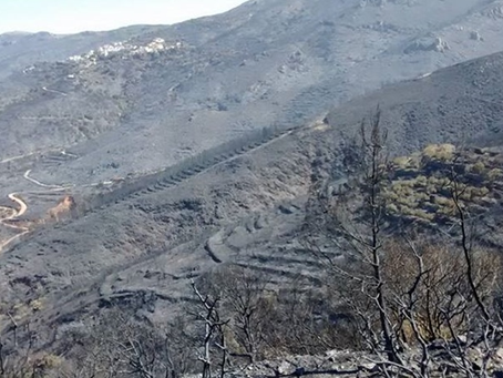 Τι γίνεται τελικά με το Πόρισμα της πυρκαγιάς στα Βάτικα;
