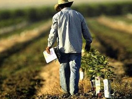 Μειωμένα ποσά επιδοτήσεων για τους Λάκωνες παραγωγούς. Ξεκαθαρίστε επιτέλους τα προβλήματα των δασικών χαρτών. Σας είχαμε προειδοποιήσει…