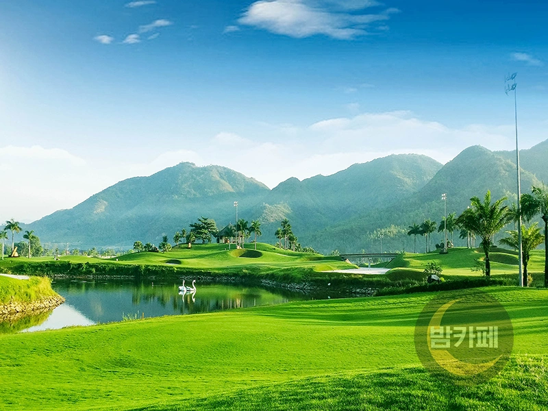 나트랑 다이아몬드 베이 골프장 필드 5