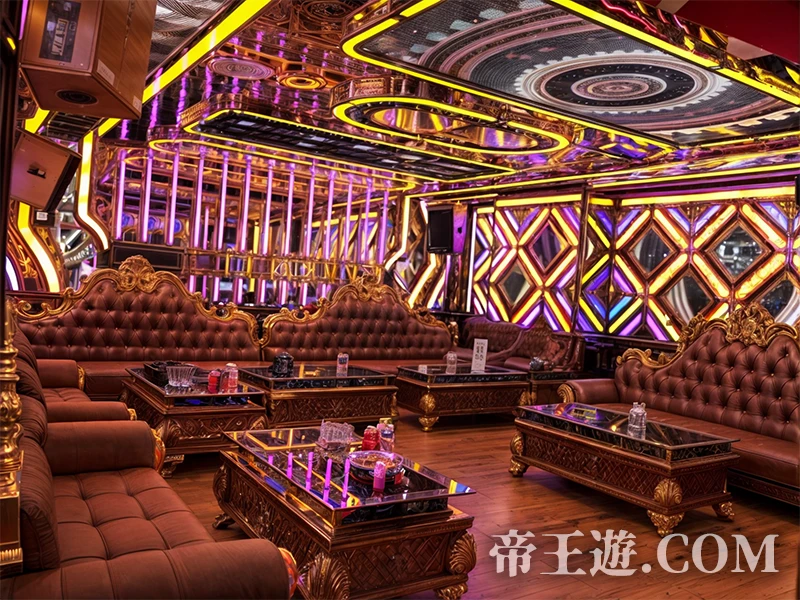 岘港 BENZ KTV 大型包廂環境，寬敞空間適合團體聚會與夜生活娛樂