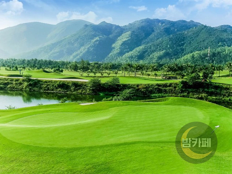 나트랑 다이아몬드 베이 골프장 필드 1