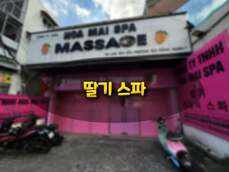 호치민 딸기스파
