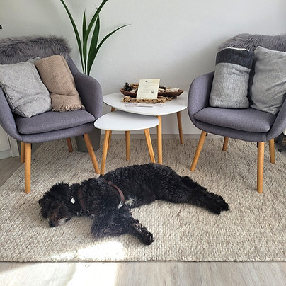 Coaching mit Hund