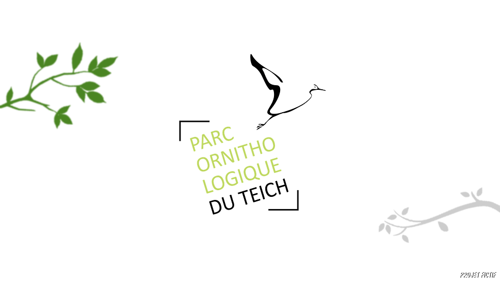 Parc Ornithologique du Teich