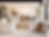 Modern Zoraya Home Collection living room furniture display