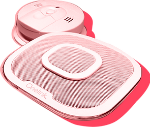 detector.png