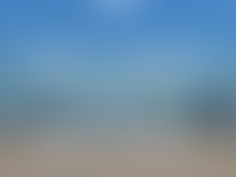 Saturday's Sentiment